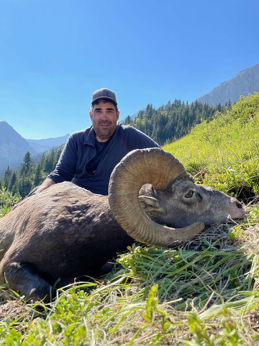 Alberta Large bighorn sheep hunted in Alberta with Tuchodi River Outfitters